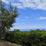 Catena Ciro