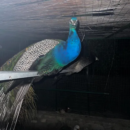 Catena Séjour à la ferme *