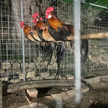 Séjour à la ferme Catena Ciro
